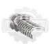 Вкладыши коренные Nissan H15 / K25 (std)