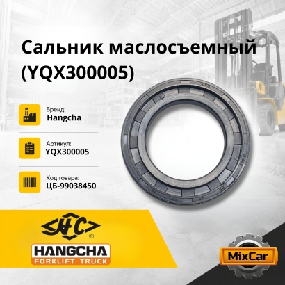 Сальник маслосъемный (YQX300005)