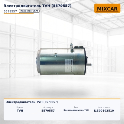 Электродвигатель TVH (5579557)