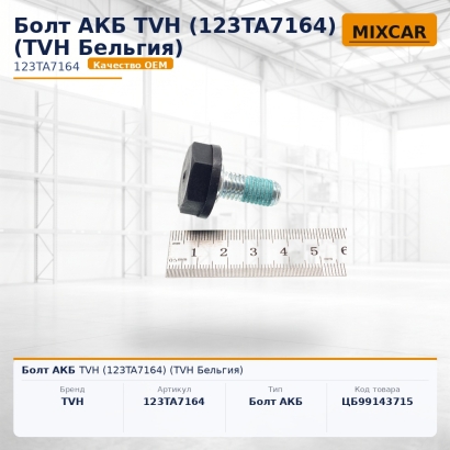 Болт АКБ TVH (123TA7164)