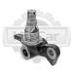 Кулак поворотный Komatsu F20-30-16,-17 (RH) (3EB-24-51212)