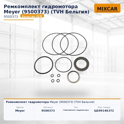 Ремкомплект гидромотора Meyer (9500373)