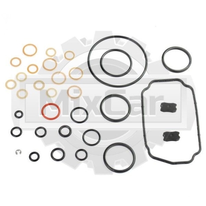 Ремкомплект ТНВД Toyota 1DZ / 1DZII (09601-00541)
