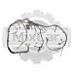 Жгут проводов Toyota 6FD15 (56111-23642-71)