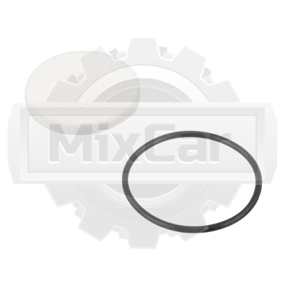 Фильтр газовой системы Daewoo G15-20S-2. -5 (D700539) (Оригинал)
