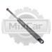 Амортизатор рукояти Jungheinrich EJE116 (50460924)